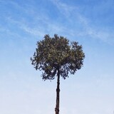 nianqingrenxiaozhoua