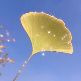 yuanyibushiyiyuan