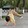 bboyxiaokeke