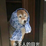 zaiyebukeguomancp