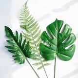 Vui_Sống_Mỗi_Ngày