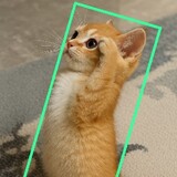 Miftah M miftah fquz