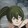 dalaoshidexuenai