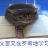 zhanzhanzhanran