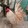 Adrian Reyes_5504