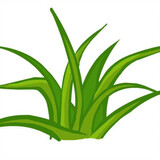siwei_yingxiangli_