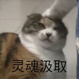 xixingdenaohuilu
