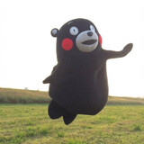 xiaozhubigu