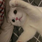 leishengji___i