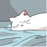 kucing suka mie ayam