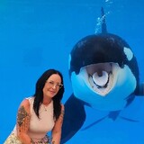 JESSICA & DOLPHIN