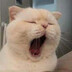 Jiuwudexiufu