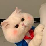 nishuowojiaoshisan