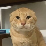 mumuhuxiang