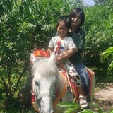 huayahuayaxiaomijiao