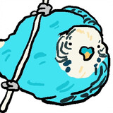 ravenrover