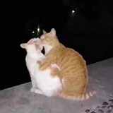 anxiyiquan