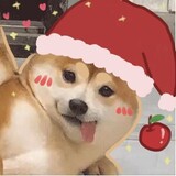 Feizhaixueqiao