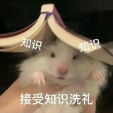 shipuchiya
