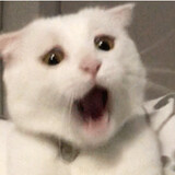 zoushi___ing___