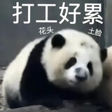 biu_wo