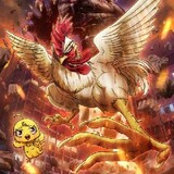 Ayam_kun