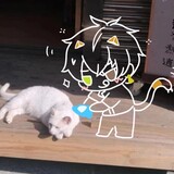 shenyiluo_seckert