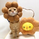 skytiankongdesweetie