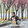 xidongdong