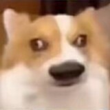 shanlilinghuodehuo