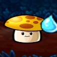 yangkuisun-shroom