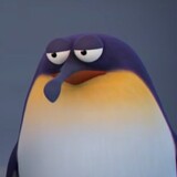 litras