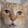 MEOW-MARU!