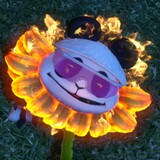 pianliuliangdepindao