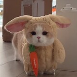 zhuxiaoyouzi_
