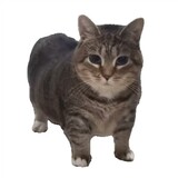 xiao___memedajuchang