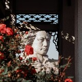 gemingqingshaonian