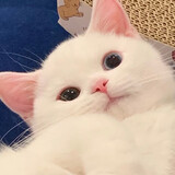 -chenhuan