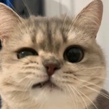 tudouyouyuanxintu