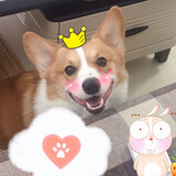 cooperdeshenghuoriji