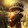 Tomioka_D.waterLAW