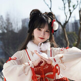 lingxi1