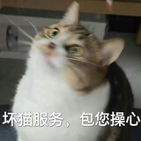yueyexingwo