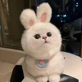 yiji___mitu
