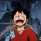 LUFFY枚