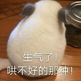 zaicunzaiwoyaokuleo