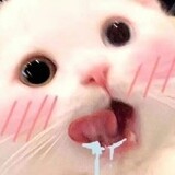 weishenmo