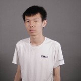 chengweibestwangyuan