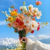 weiguangxingdong9012