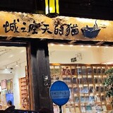 zhendehuiyanchi